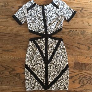 Tobi Lace Bodycon Dress